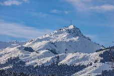 Ferienwohnung in Fieberbrunn - Apartment auf dem Schlossberg – Bergblick & Ruhe 